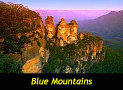 Blue Mountains Bus Tours