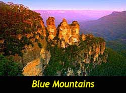 Blue Mountains Bus Tours