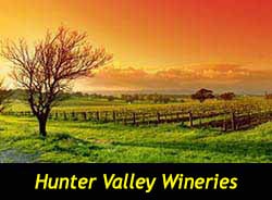 Hunter Valley Wine Tours